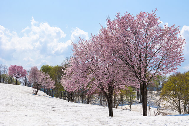 ช่องเขา Fukuyama (เมืองอุโอนุมะ)